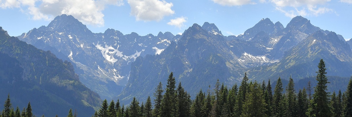 Erasmus Tours Krakow baner