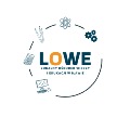 LOWE w Iławie logo