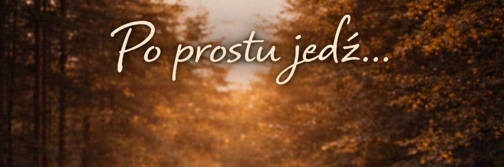 Widok Paleśnica baner